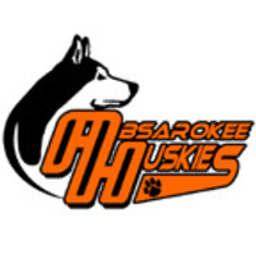 Absarokee 6-8 logo