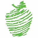 HIGHER ACHIEVEMENT PROGRAM INC