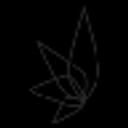 Higher Hopes Foundation Inc logo