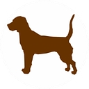 Hill Country Pet Ranch