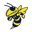 Hillsdale Community Schools logo