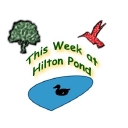 hiltonpond.org icon