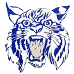 HINSDALE CENTRAL SCHOOL logo