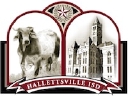 Hallettsville Isd logo