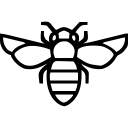 Hive & Colony