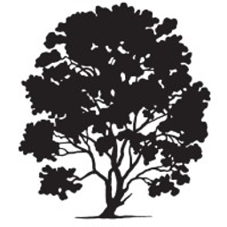 HLS Therapeutics Inc. logo