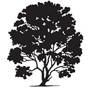 HLS Therapeutics Inc. logo