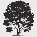 HLS Therapeutics Inc. logo
