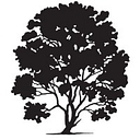 Hls Therapeutics Inc. logo
