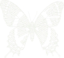 Houston Museum Of Natural Science logo