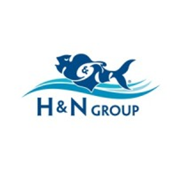 H & N Group, Inc. logo