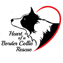 Heart of a Border Collie Rescue Inc logo