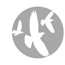 Hobsonville Point Primary School logo