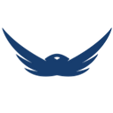 Ho-Chunk, Inc. logo