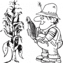 Holland Corn Festival Inc logo