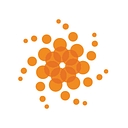 Holleran logo