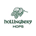 Hollingbery & Son Inc. logo