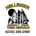 Hollinger Tree Service & Landscaping logo