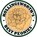 Hollingsworth Peonies logo