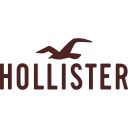 Hollister Co. logo