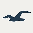 Logo for hollisterco.com