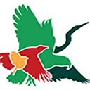 Hollyford Conservation Trust - Te Roopu Manaaki O Whakatipu Waitai logo