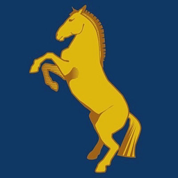 HOLMESDALE CRICKET CLUB LTD logo