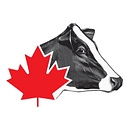 Holstein Canada logo