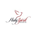 Holy Spirit Radio Foundation Inc logo