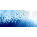 Holy Trinity School logo