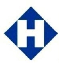 Holywell Healthcare logo