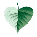 Aspen Healthcare Services, Inc logo