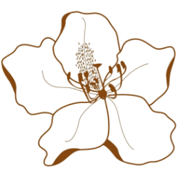 Homewood Delights Limited logo