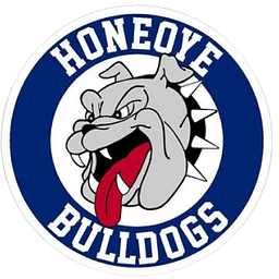HONEOYE ELEMENTARY SCHOOL logo