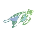 Honu Intervention logo