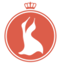 HookedUp Shapewear logo