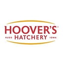 Hoover's Hatchery