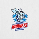 Rochdale Hornets logo