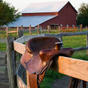 Horse Saddle Corral
