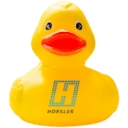 Horsler Lift Services Ltd logo