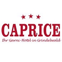 Favicon of Hotel Caprice