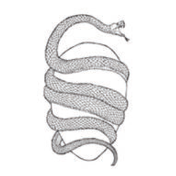 House Of Orpheus logo