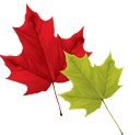 Hulse, Playfair & Mcgarry Funeral & Cremation Services logo