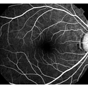 Houston Retina Associates