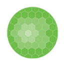 High Rise Security Systems, Llc logo