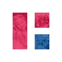 Hamilton Southeastern Schools