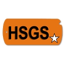 Hannah Solar Government Services Llc logo