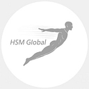 Hsm Global Ltd   Aviation Logistics logo