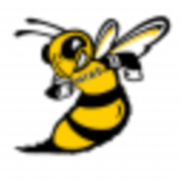 HIGH SCHOOL OF TELECOMMUNICATION ARTS AND TECHNOLOGY logo