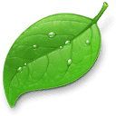 Hs Timber logo